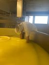 Kaasmaken op de boerderij