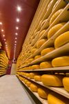 Cheese storage at the farm