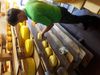 Farmhouse cheesemakers in the Netherlands