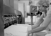 Farmhouse cheesemakers in the Netherlands