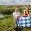 Farmer and cows in meadow