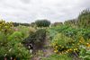 GewAnd280923-72