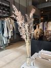 Volker Vedder - Eigenaar Chase Concept Store
