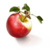 Schulp Appel