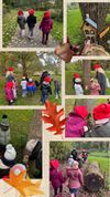 Herfst