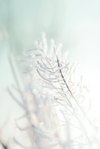 andrey-k-O_cnsv8ruZo-unsplash-bew