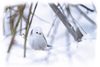 iStock-2194885015bew