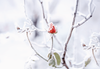 laura-adai-_wBu07RsIFE-unsplash1