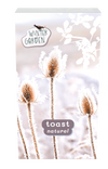 Plain toast