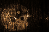 WeLiketoParty-Visual5
