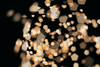 WeLiketoParty-Visual6
