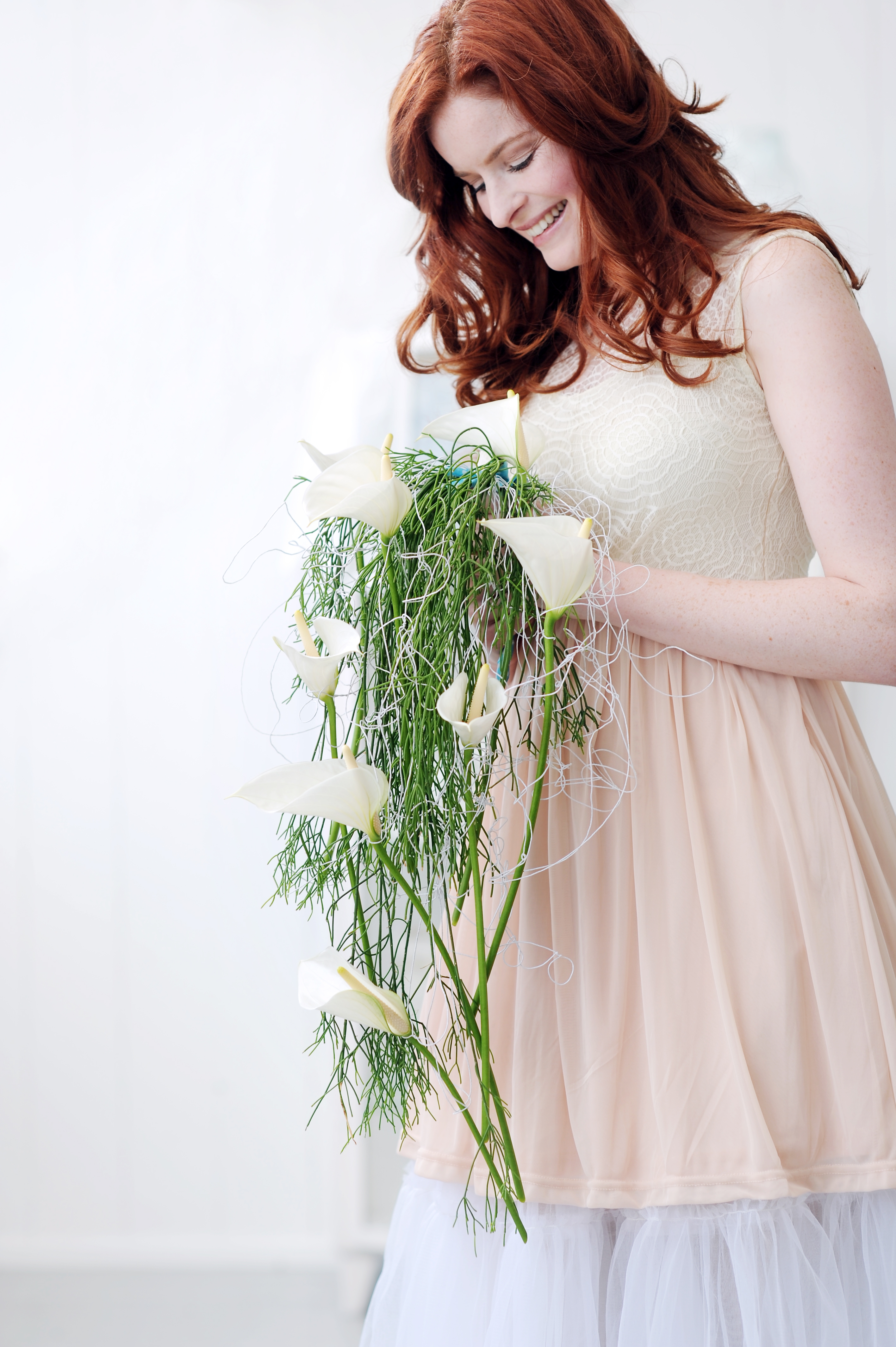 Whisper - Anthurium cut flowers | Anthura