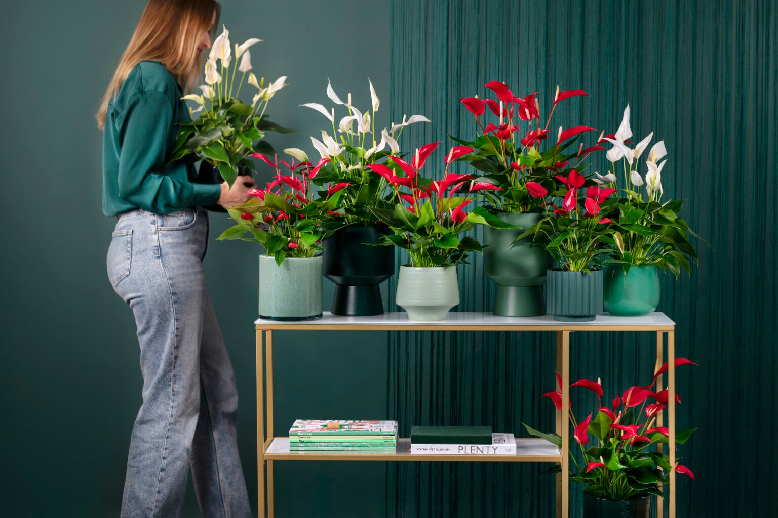 Banderola, a wave of flowers | Anthura