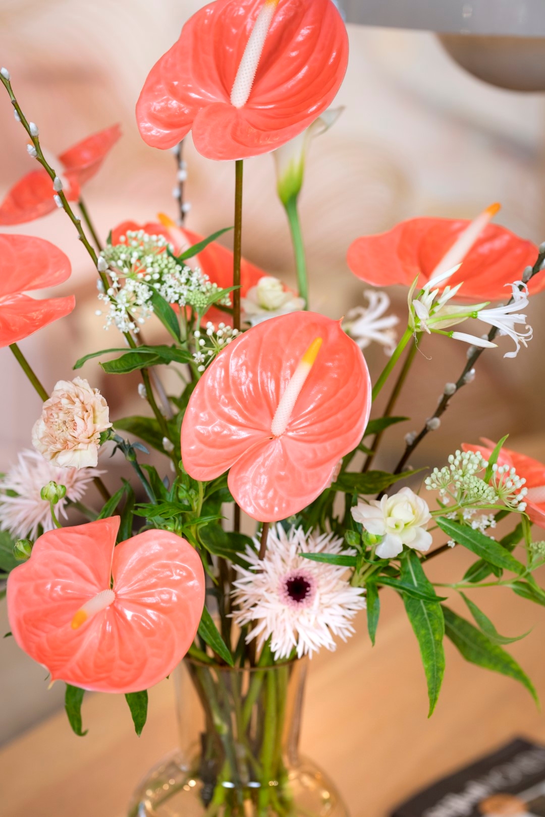 Farao® - Anthurium snijbloemen | Anthura