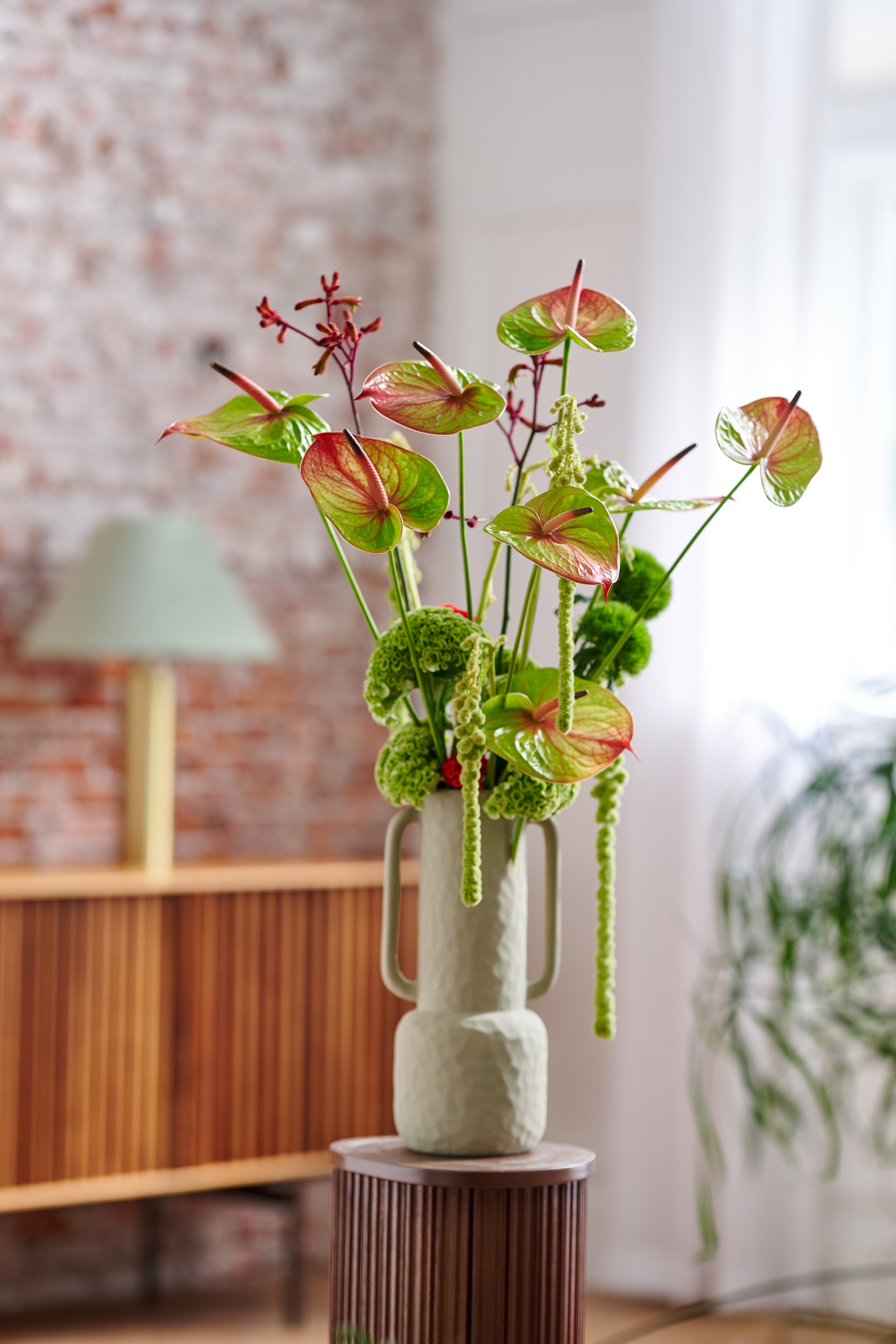 Auturaページ Absolute® - Anthurium cut flowers | Anthura
