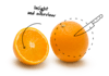 zest_illustraties-tekst-eng-05_7_20210330_102831